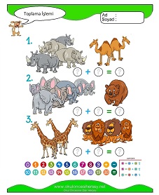 Toplama İşlemi Çalışma Sayfaları